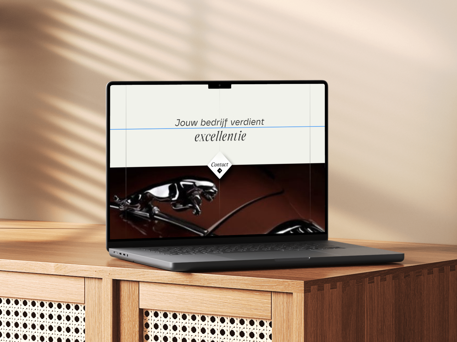 Een laptop met een website laten maken in Woerden.